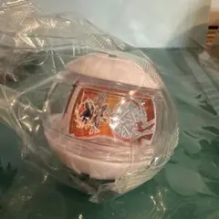 ライダーカプセム キャラクター玩具