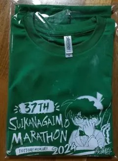 Item thumbnail for item 5f09ef2d-f119-4e76-b8ee-d812f3bd6896