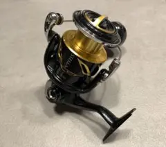 ステラSTELLA SW 6000PG
