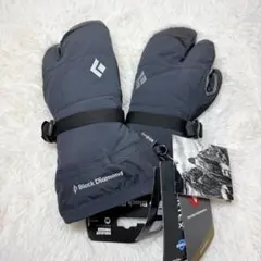 新品 DAKINE TITAN ゴアテックス スノーグローブ 五本指 インナー付