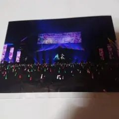 初音ミク マジカルミライ2019 公式ライブフォト 15