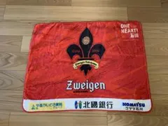 ツエーゲン金沢 オリジナルブランケット