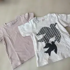 Tシャツ2枚set 100センチのサムネイル