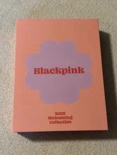 2025年最新】blackpink シーグリの人気アイテム - メルカリ