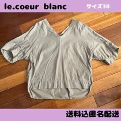 Item thumbnail for item 548d57d7-22c9-42b0-a4ee-bf6b86f69a57