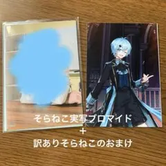 めろんぱーかー そらねこ実写ブロマイド