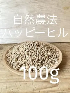 ミヤタマモチ種籾300g ハッピーヒル代用の陸稲種子 畑で楽しむ米