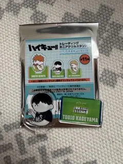 ハイキュー　ミニアクリルスタンド　影山飛雄　東京合宿