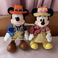ディズニー シー 19周年 トレイル ミッキー ミニー ぬいぐるみ バッジ