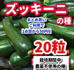 ズッキーニの種【20粒】⭕️のサムネイル