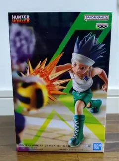 HUNTER×HUNTER フィギュア・ゴン・G.I.