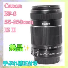 Item thumbnail for item da9766eb-38d9-438f-8855-c1d8a240a497