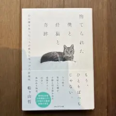 捨てられた僕と母猫と奇跡 : 心に傷を負った二人が新たに見つけた居場所