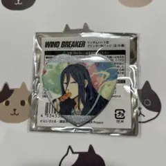 WIND BREAKERランダムハート型グリッター缶バッジ杉下京太郎