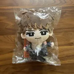 向井康二 BIGぬいぐるみ