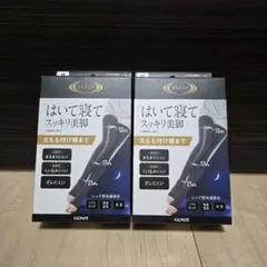 RIZAP ライザップ はいて寝てスッキリ美脚 おやすみ用着圧