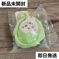 新品　即日発送　ちいかわ ベイビー キャベツに包まれたうさぎ　マスコット
