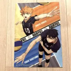 ハイキュー クリアファイル