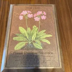 Item thumbnail for item 572f7485-0ea9-42a1-aad4-63202f309766