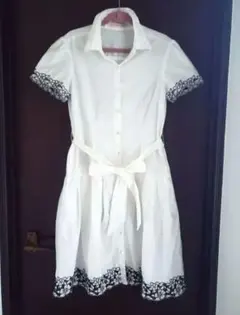 Item thumbnail for item e6fe714e-06d3-401f-8c8f-59f1ccf8e037