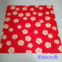 Item thumbnail for item f2df731e-c08b-47f0-bfc2-50a8fb9be91d