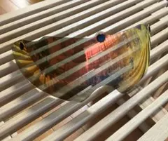 Item thumbnail for item a904ef44-1f4c-4b75-bac8-67e0e05becc9