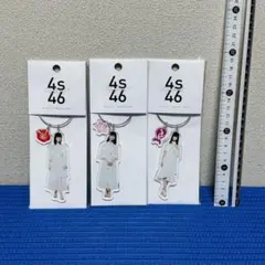 乃木坂46 春夏秋冬 アクリルキーホルダー セット y