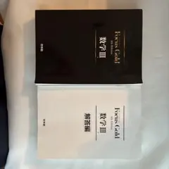 Focus Gold 数学III 4th Edition 啓林館