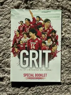 少々傷ありGRIT バレーボール男子日本代表 SPECIAL BOOKLET