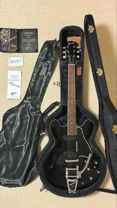 フルアコ ピックギター エレキギター ビザール デミアン フジゲン 最