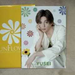 八木勇征 フォトカード SUNFLOWER