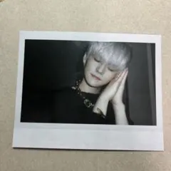 treasure night garden ヨシ　ポラロイド　ココネンネ