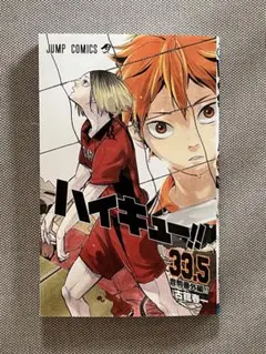 美品！ ハイキュー!! ゴミ捨て場の決戦 映画特典 33.5巻