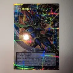 遊戯王 光と闇の竜 カオスソルジャー プリシク - メルカリ