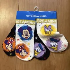 ▪︎新品未使用▪︎2足組　東京ディズニーリゾート 靴下 16-18cm