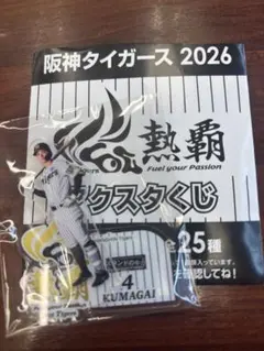 阪神タイガース 2026 熱覇 アクスタくじ 7 中野拓夢 選手 - メルカリ