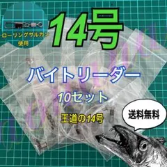タチウオテンヤ バイトリーダー10セット 14号 太刀魚