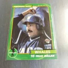 2026年最新】ミヤーン 大洋の人気アイテム - メルカリ