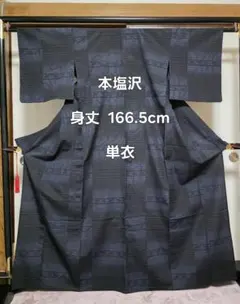トールサイズ　夏着物　絹　紗紬　小紋 着丈173 裄70.5 トールサイズ夏着物絹紗紬小紋 着丈173 裄70.5