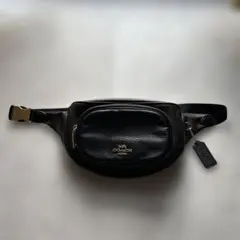 2026年最新】coach ウエストポーチ シグネチャーの人気アイテム - メルカリ