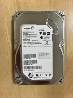 Seagate 3.5インチ HDD 250GB ST250DM000【1】