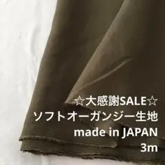S2L/4051◆3m 感謝祭/ポリソフトオーガンジー生地/アパレル