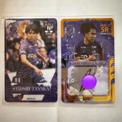 2026年最新】オンサイトカード サンフレッチェ広島の人気アイテム