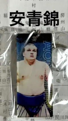 Item thumbnail for item 5d3d37b4-7167-4faa-8b22-20545e7e709d