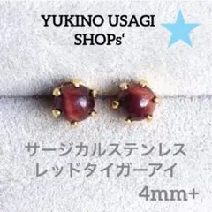スタッドピアスNO.660 天然石(レッドタイガーアイ) サージカルステンレ