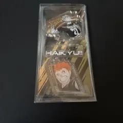 ハイキュー　スタンド&チャームコレクション　日向