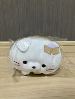 もちふわ！ ころころにゃんこ 八重山 石垣島 限定 いりおもてやまねこ