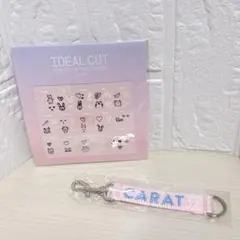 신품 미개봉 SEVENTEEN セブンティーン セブチ グッズ CARAT