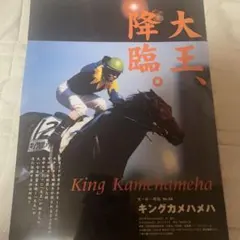 2025年最新】ヒーロー列伝 クリアファイルの人気アイテム - メルカリ