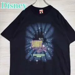 【入手困難】ディズニー　ピーターパン　ティンカーベル　Tシャツ　XLサイズ　海外